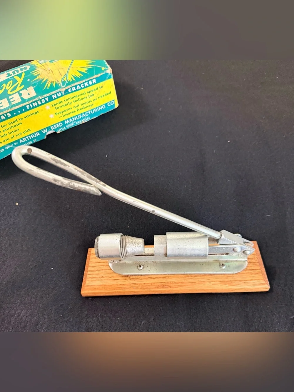 Reed,s vintage nut